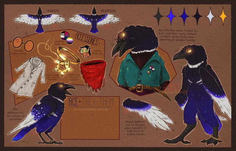 Jackdaw Sheet Jackdaw Sheet