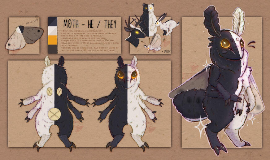 Moth Fursona Sheet