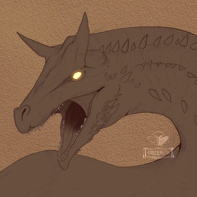 Dragon Dragon