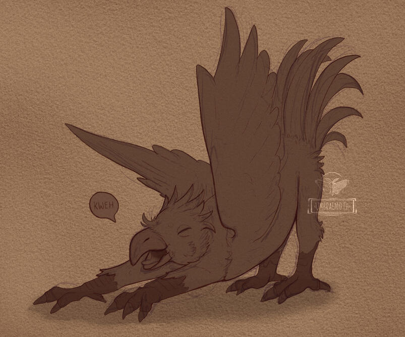 Chocobo Griffon Chocobo Griffon
