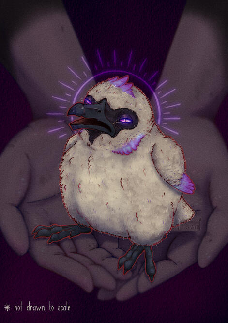 Ugly Baby Bird Ugly Baby Bird
